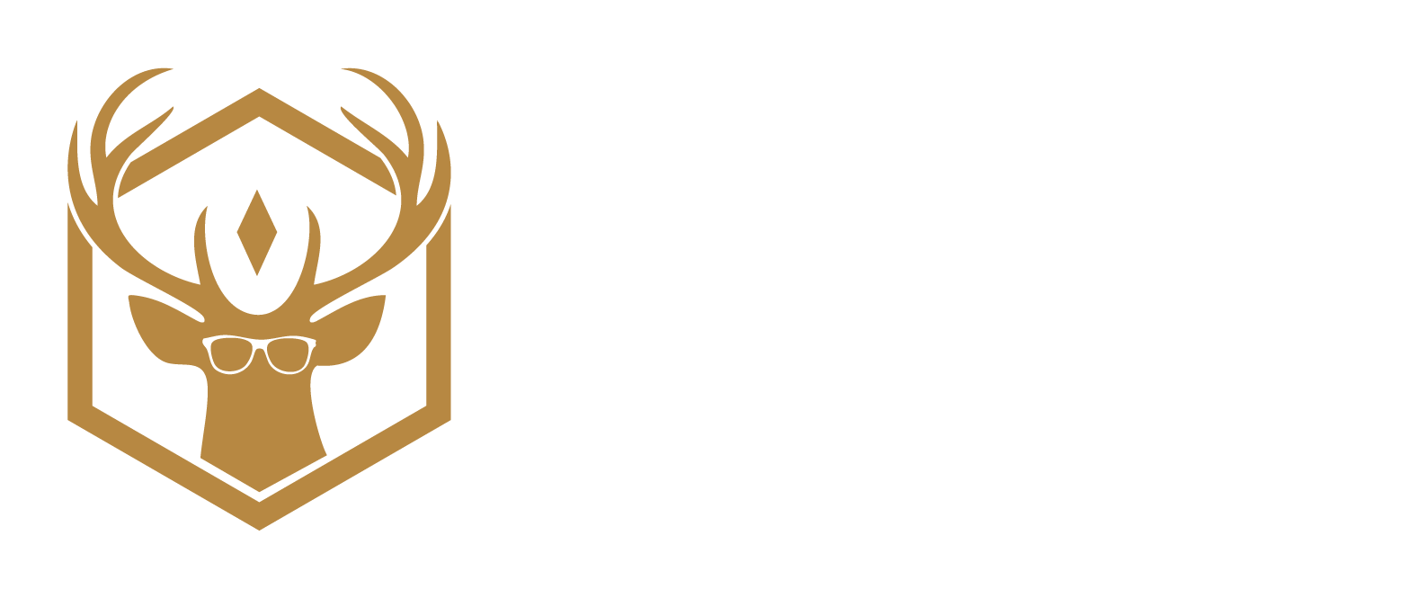 Center Street IT